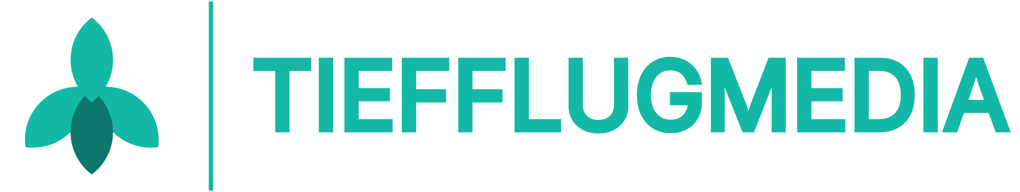 Tiefflugmedia Logo - Webdesign Agentur Heilbronn